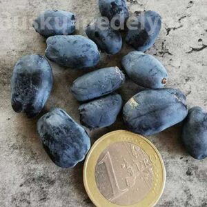 Valgomasis sausmedis Honey Bee